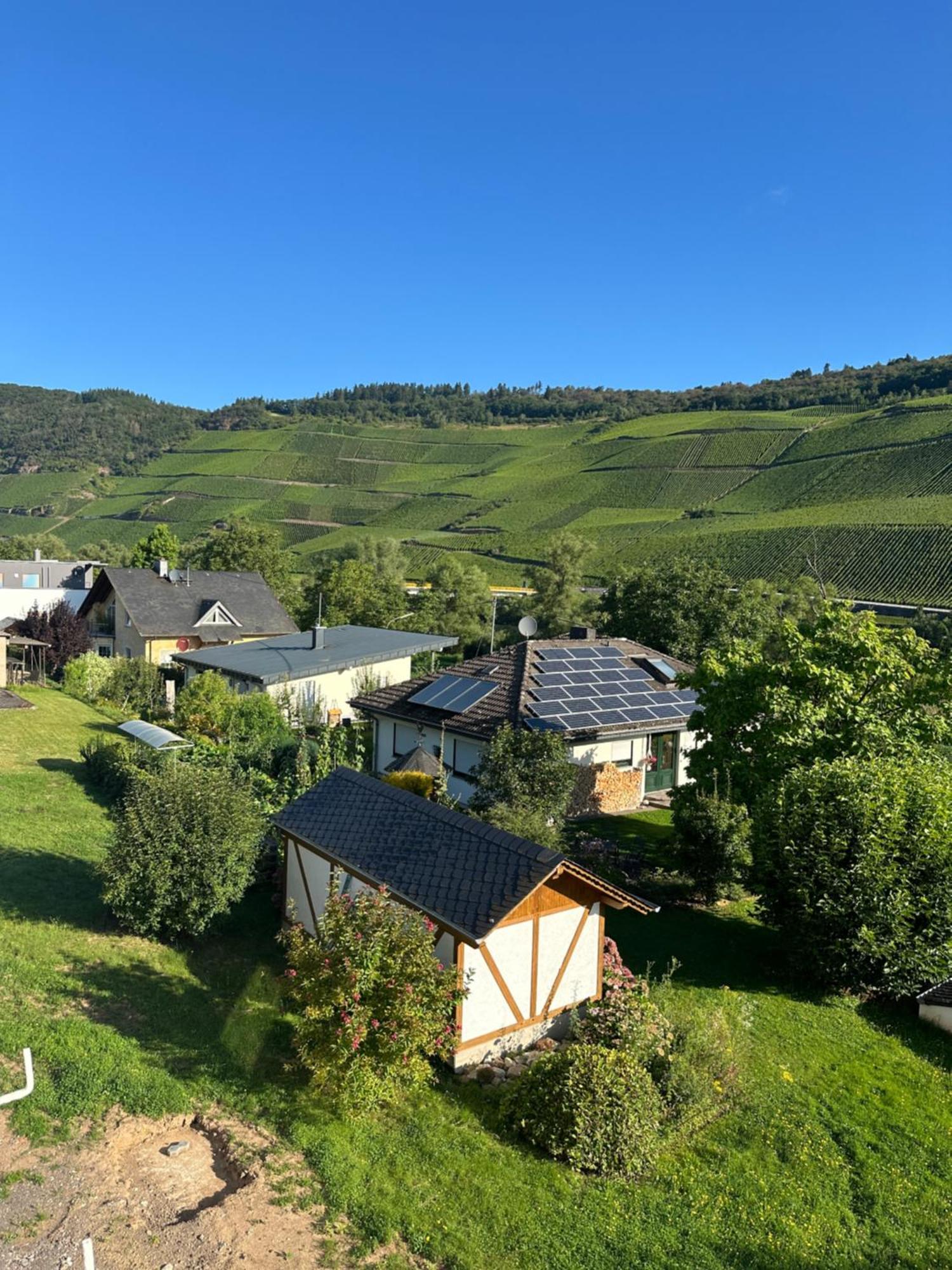 Moselappartements By Weingut Marco Adamy Lösnich Eksteriør bilde