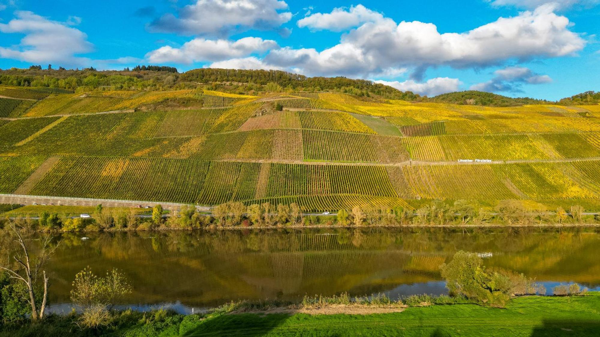 Moselappartements By Weingut Marco Adamy Lösnich Eksteriør bilde