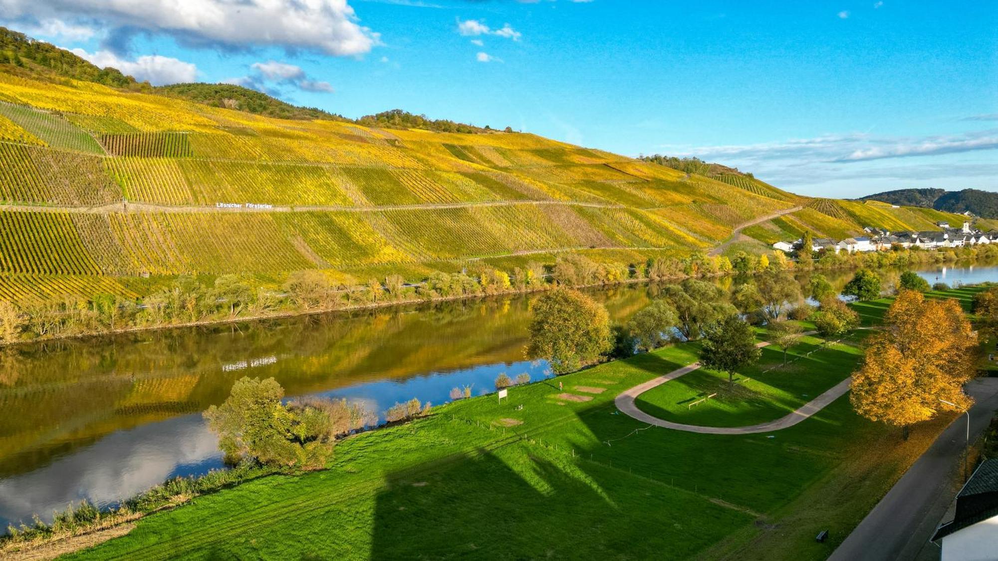 Moselappartements By Weingut Marco Adamy Lösnich Eksteriør bilde