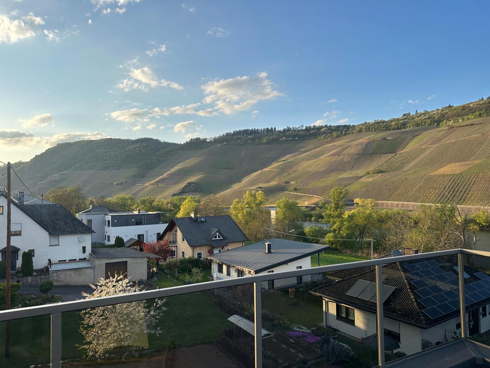 Moselappartements By Weingut Marco Adamy Lösnich Eksteriør bilde